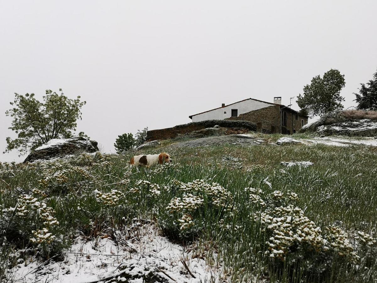 Apartamento El Triskel de Chumbea Navalmoral de Bejar Exterior foto